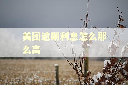 美团逾期利息怎么那么高