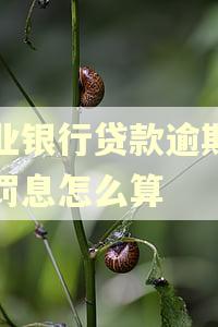 农业银行贷款逾期两年罚息怎么算