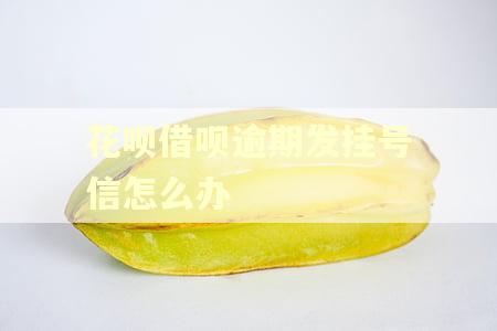 花呗借呗逾期发挂号信怎么办