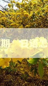 逾期　日语怎么