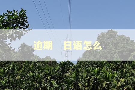 逾期　日语怎么