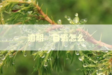 逾期 日语怎么 逾期 日语怎么