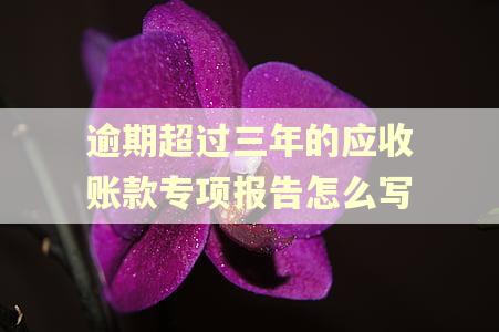 逾期超过三年的应收账款专项报告怎么写