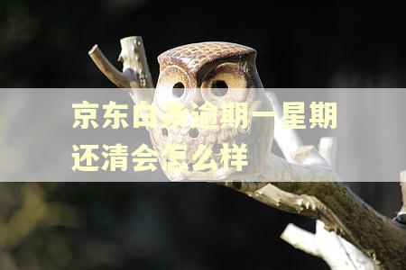 京东白条逾期一星期还清会怎么样