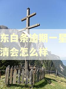 京东白条逾期一星期还清会怎么样