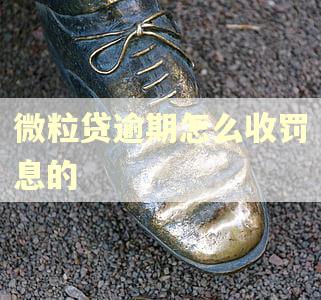 微粒贷逾期怎么收罚息的