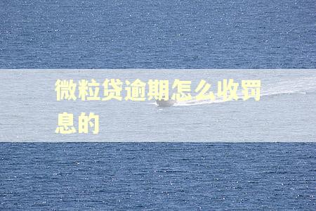 微粒贷逾期怎么收罚息的