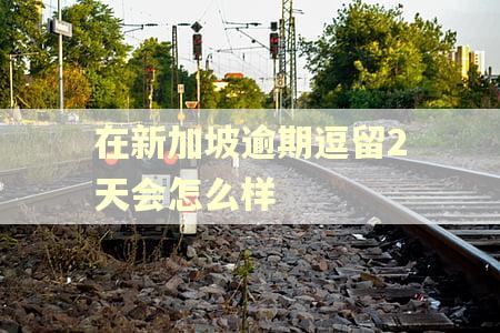 在新加坡逾期逗留2天会怎么样
