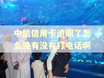 中信信用卡逾期了怎么没有没有打电话啊