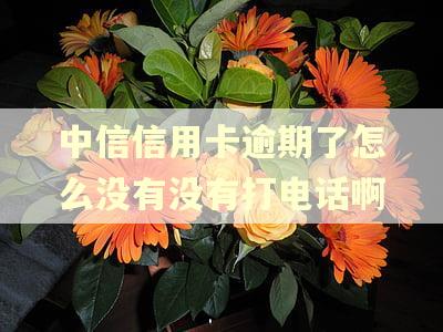 中信信用卡逾期了怎么没有没有打电话啊