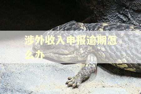 涉外收入申报逾期怎么办