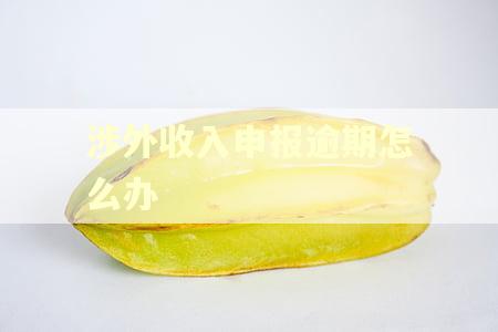 涉外收入申报逾期怎么办