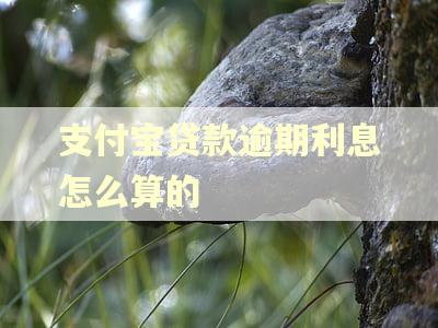 支付宝贷款逾期利息怎么算的