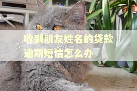 收到朋友姓名的贷款逾期短信怎么办