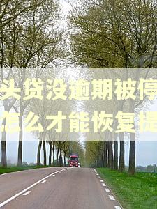 多头贷没逾期被停提现怎么才能恢复提现