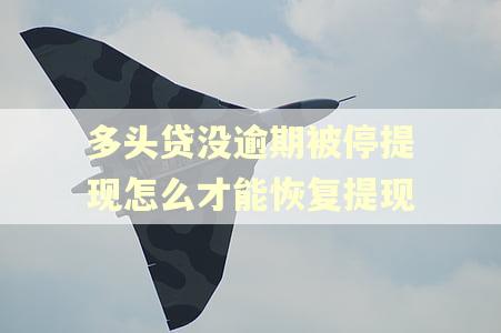 多头贷没逾期被停提现怎么才能恢复提现
