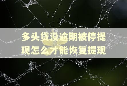 多头贷没逾期被停提现怎么才能恢复提现