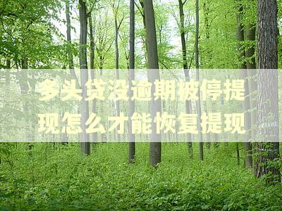 多头贷没逾期被停提现怎么才能恢复提现
