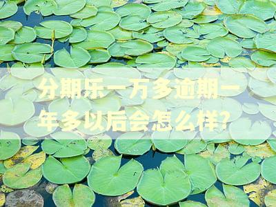 分期乐一万多逾期一年多以后会怎么样?