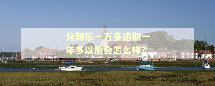 分期乐一万多逾期一年多以后会怎么样?