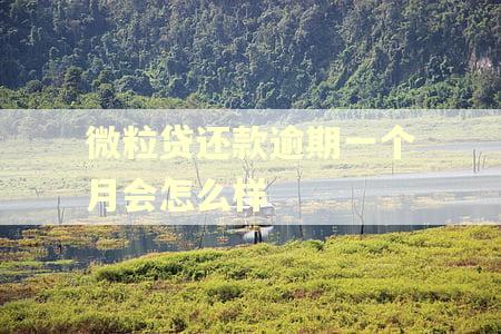 微粒贷还款逾期一个月会怎么样