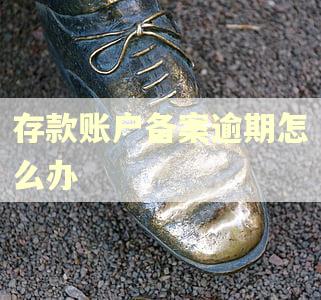 存款账户备案逾期怎么办