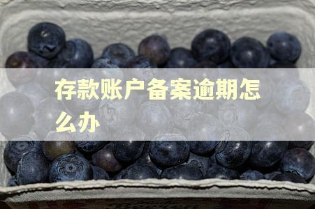存款账户备案逾期怎么办
