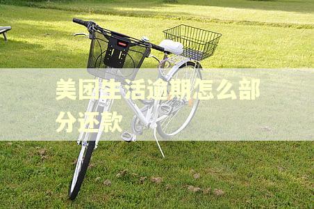 美团生活逾期怎么部分还款 美团生活逾期怎么部分还款