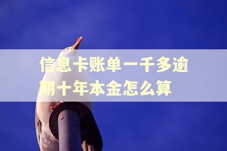 信息卡账单一千多逾期十年本金怎么算