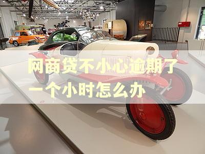网商贷不小心逾期了一个小时怎么办