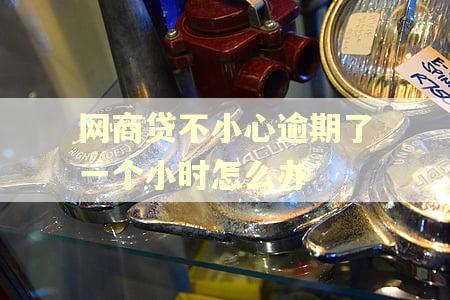网商贷不小心逾期了一个小时怎么办