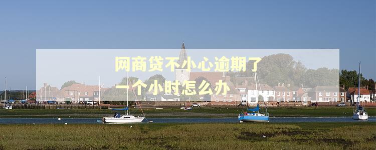 网商贷不小心逾期了一个小时怎么办