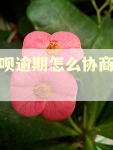 借呗逾期怎么协商还款