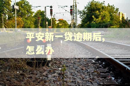 平安新一贷逾期后,怎么办 平安新一贷逾期后,怎么办