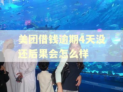 美团借钱逾期4天没还后果会怎么样