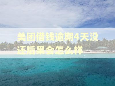 美团借钱逾期4天没还后果会怎么样