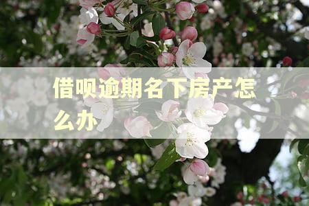 借呗逾期名下房产怎么办