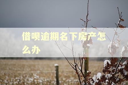 借呗逾期名下房产怎么办