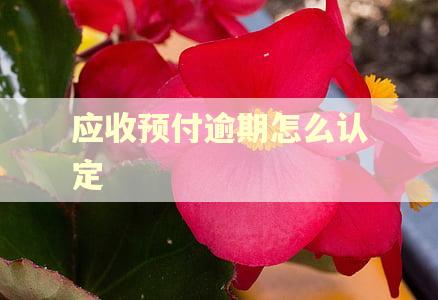 应收预付逾期怎么认定 应收预付逾期怎么认定