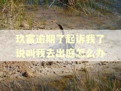 玖富逾期了起诉我了说叫我去出庭怎么办