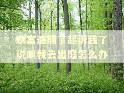 玖富逾期了起诉我了说叫我去出庭怎么办 玖富逾期了起诉我了说叫我去出庭怎么办