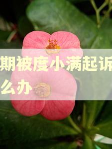 逾期被度小满起诉了怎么办