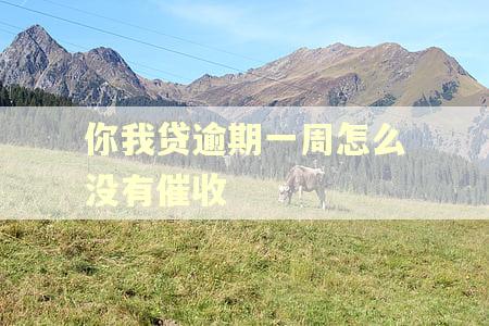 你我贷逾期一周怎么没有催收