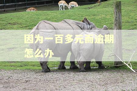 因为一百多元而逾期怎么办