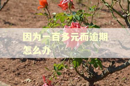 因为一百多元而逾期怎么办