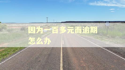 因为一百多元而逾期怎么办 因为一百多元而逾期怎么办