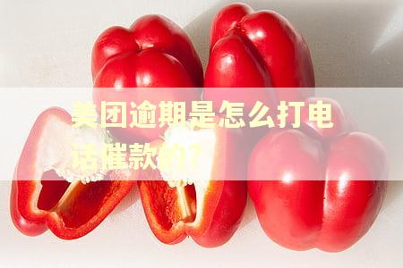 美团逾期是怎么打电话催款的?