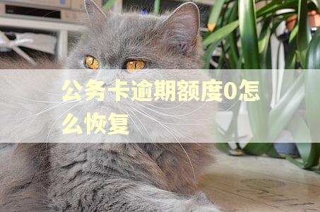 公务卡逾期额度0怎么恢复