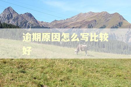 逾期原因怎么写比较好