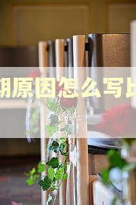 逾期原因怎么写比较好